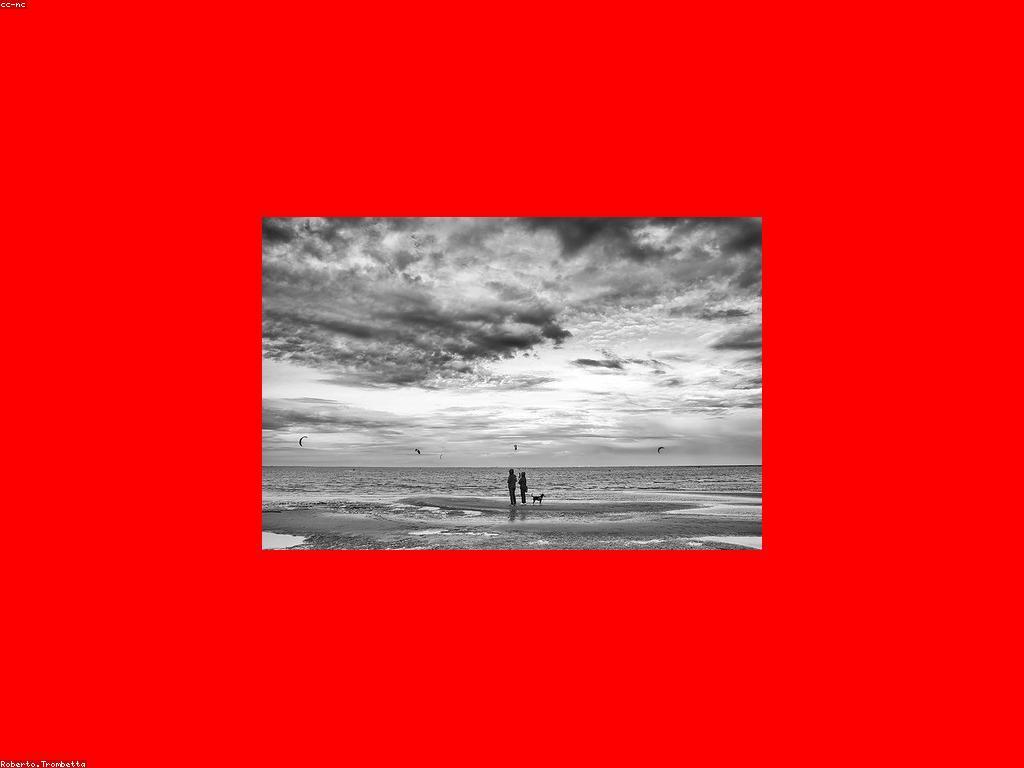 ការប្រកួតកីឡាមុជទឹក: ការបង្ហាញពីសមត្ថភាពនៃកីឡានេះ