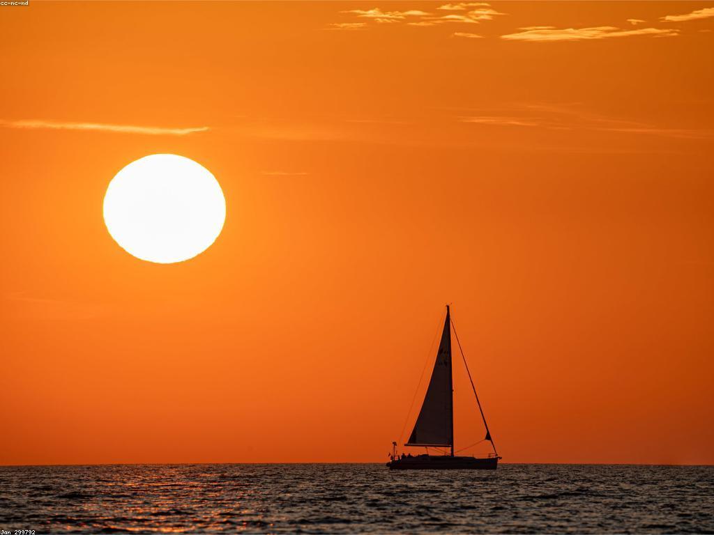 ការប្រកួតលេងទឹក: ការបង្ហាញពីកីឡាក្នុងទឹក