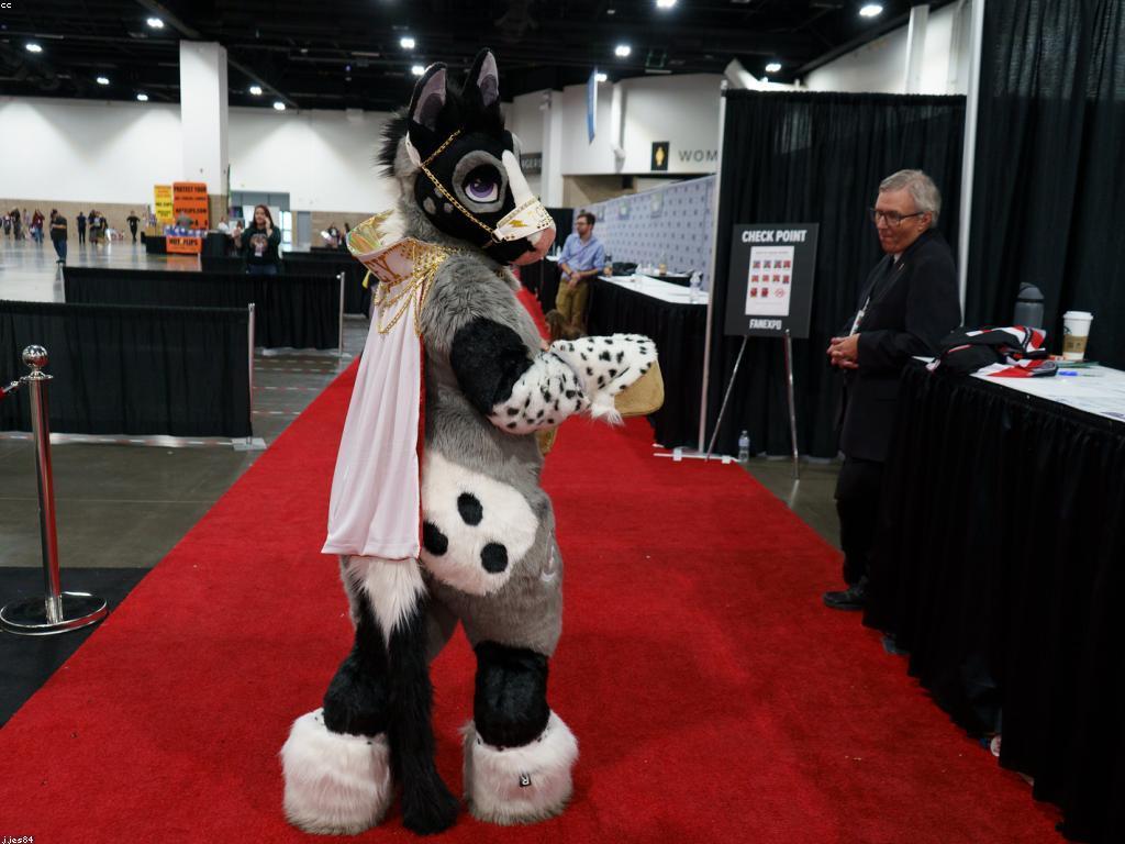 ការប្រកួតកម្សាន្ត: មើលអំពីការប្រកួតដ៏គួរឱ្យចាប់អារម្មណ៍