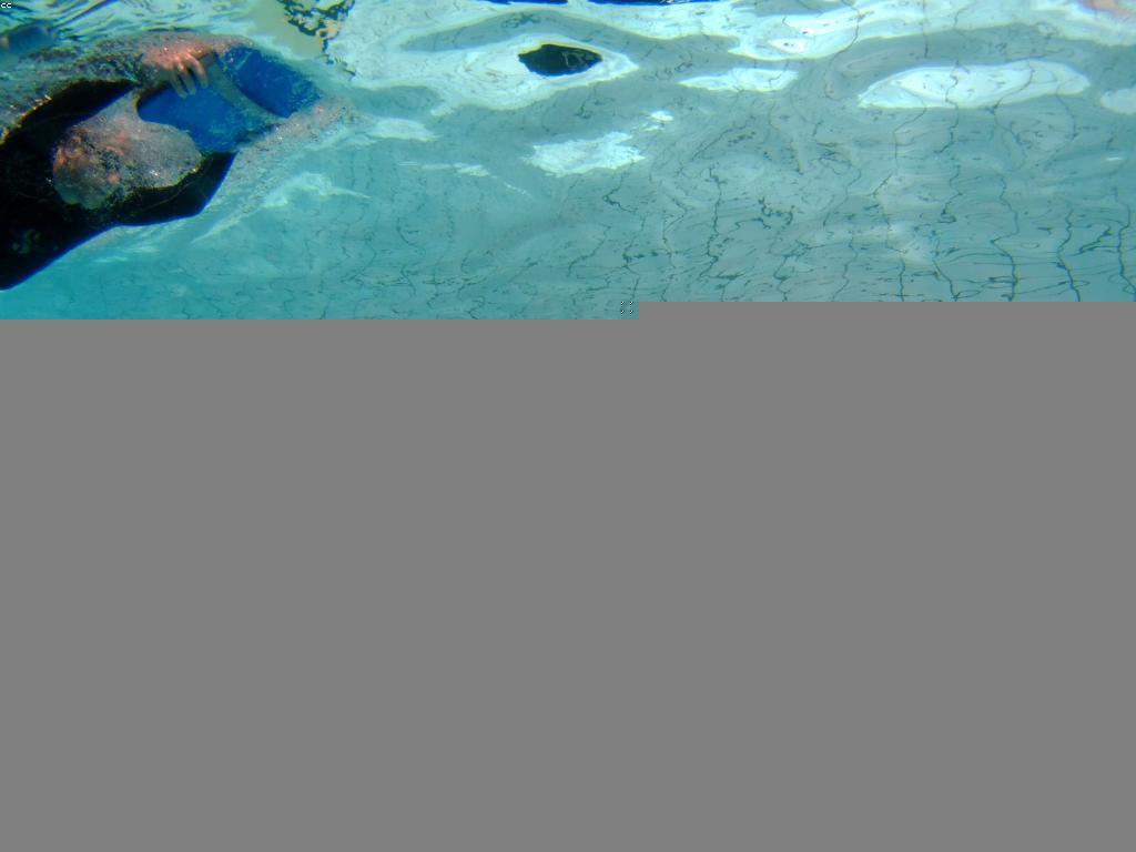 យុទ្ធសាស្រ្តសម្រាប់ការប្រកួតកីឡាមុជទឹក