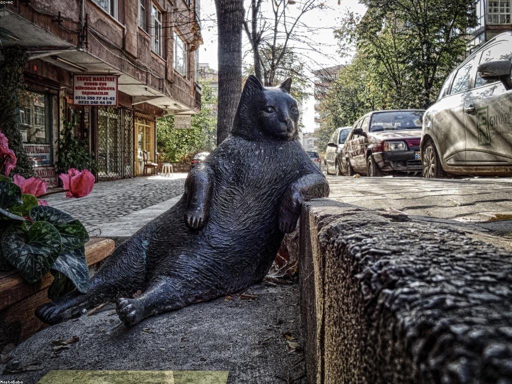 គន្លឹះសំខាន់សម្រាប់ការប្រកួតកីឡាមុជទឹក